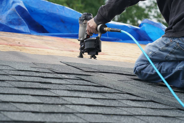 Best Metal Roofing Contractor  in Trempealeau, WI