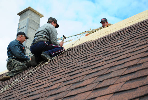 Best Roof Repair Services  in Trempealeau, WI